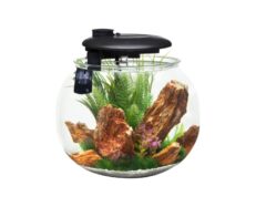 Aquariums & Decor