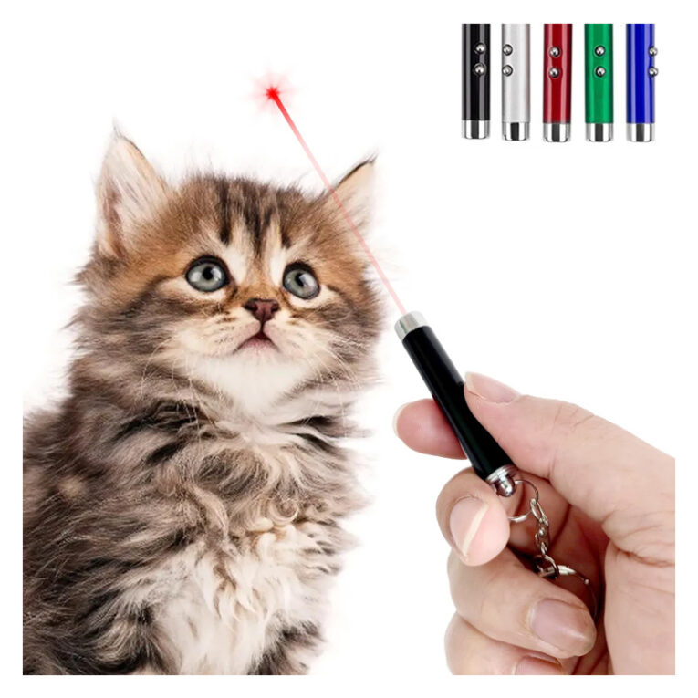 pet teaser laser light