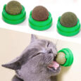 wall catnip ball for cats